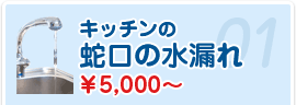 キッチンの蛇口の水漏れ ￥5,000～